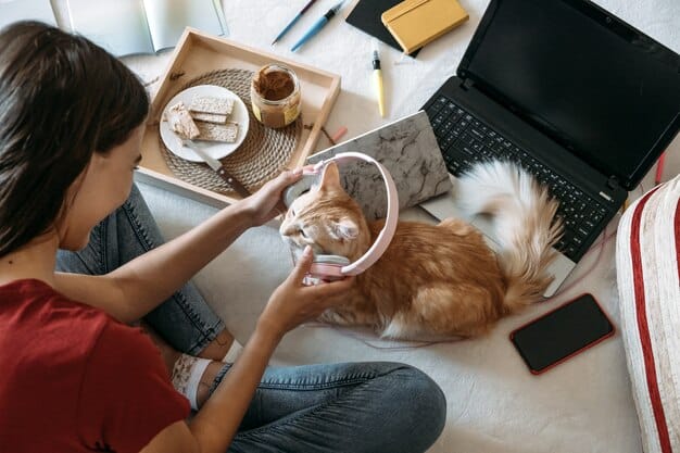 A person sitting at a desk, surrounded by pet supplies, searching for online coupons on a laptop. The background should be a cozy home office setting.