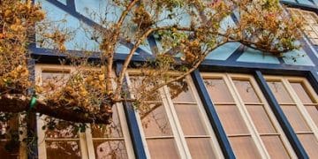 Unlock Up to $3,200: Energy Efficiency Tax Credits Under the Inflation Reduction Act - Cover Image