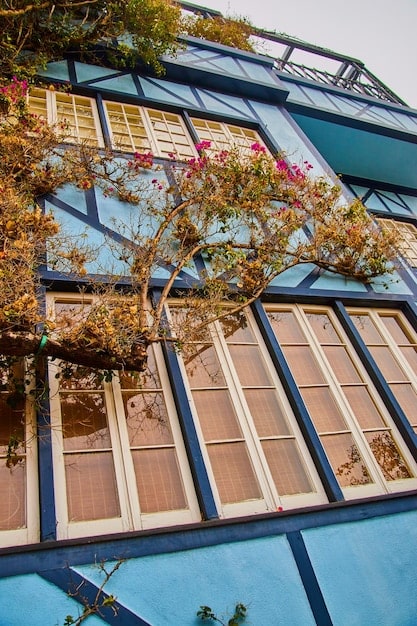 Unlock Up to $3,200: Energy Efficiency Tax Credits Under the Inflation Reduction Act