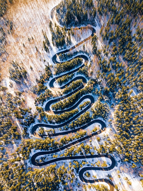 A conceptual image illustrating personalized medicine, with a DNA helix intertwining with various data streams (health records, lifestyle factors) leading to a tailored treatment plan.