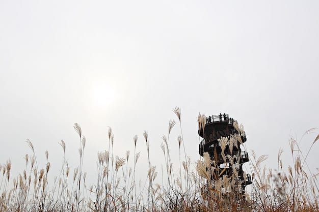 A symbolic image showing a landscape transforming from lush to parched, with subtle military elements in the background, representing the intersection of climate change and security. Conveying both environmental stress and potential conflict.