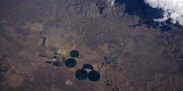 US Efforts to Combat Terrorism: Are We Winning the War? - Cover Image