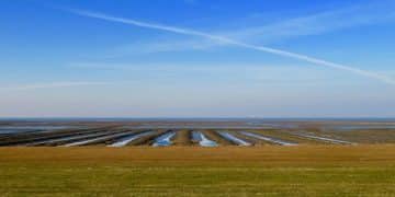 Navigating the Energy Crisis: US Strategies for Independence and Sustainability - Cover Image