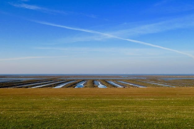 Navigating the Energy Crisis: US Strategies for Independence and Sustainability